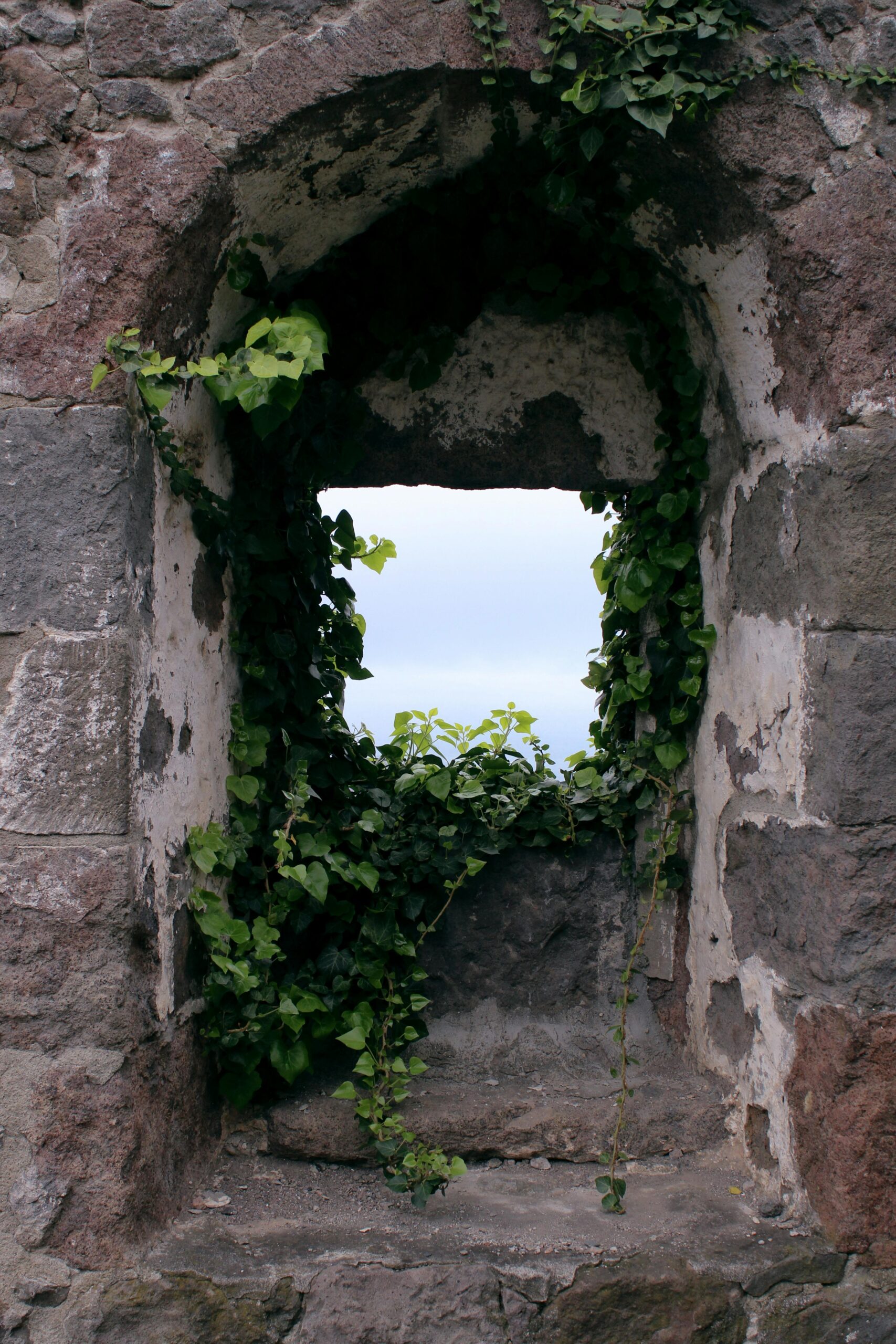 ivy in medieval church decor