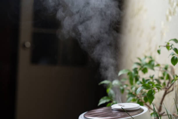 Indoor humidity for plants