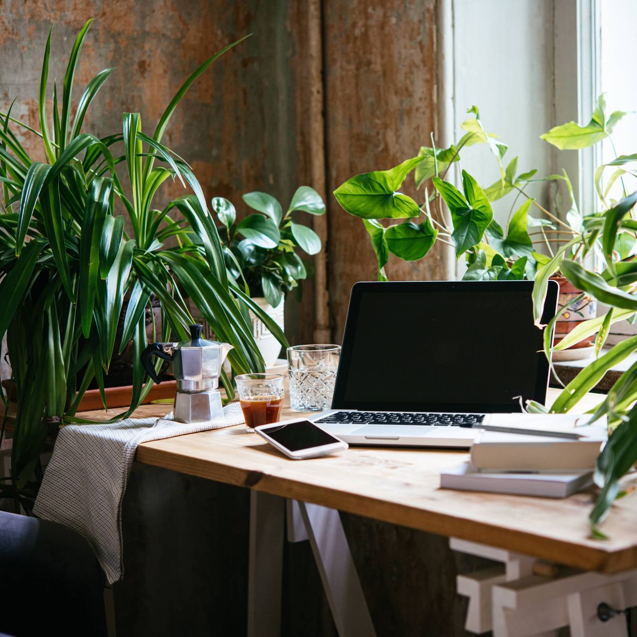 Office desk plant