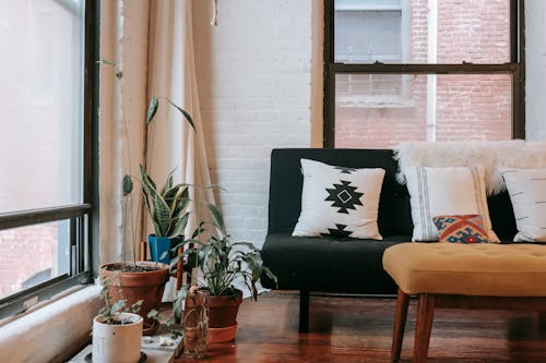 indoor plant living room decor
