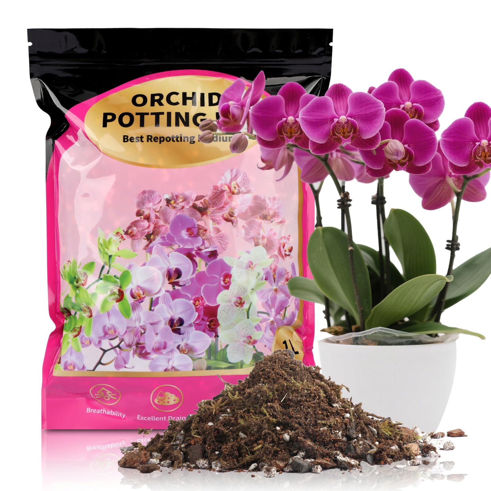 phalaenopsis orchid potting mix
