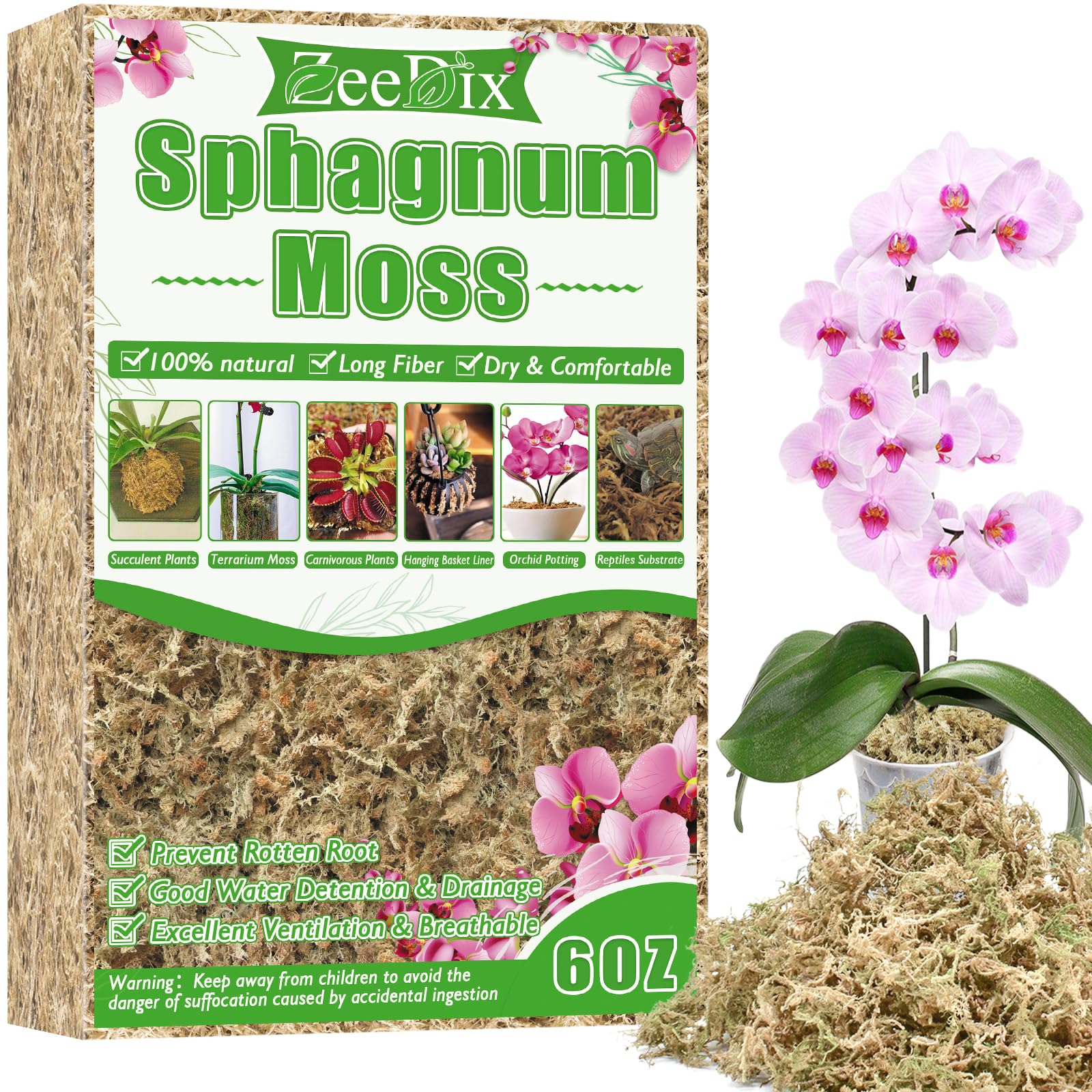 repotting orchid with moss