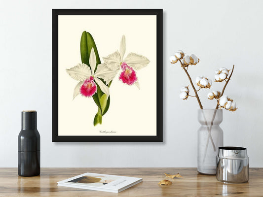orchid symbolic art piece